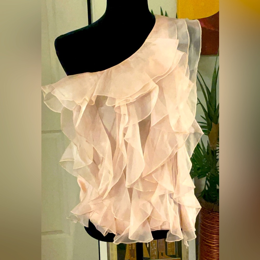 Pink ruffle blouse